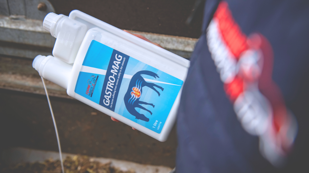 Choosing Supplements to Support Your Horse’s Ulcer Care Plan