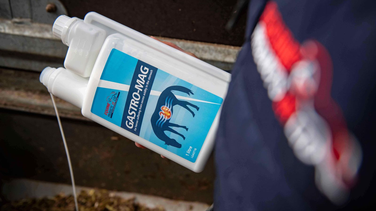 February offers to support your horse as the season takes shape