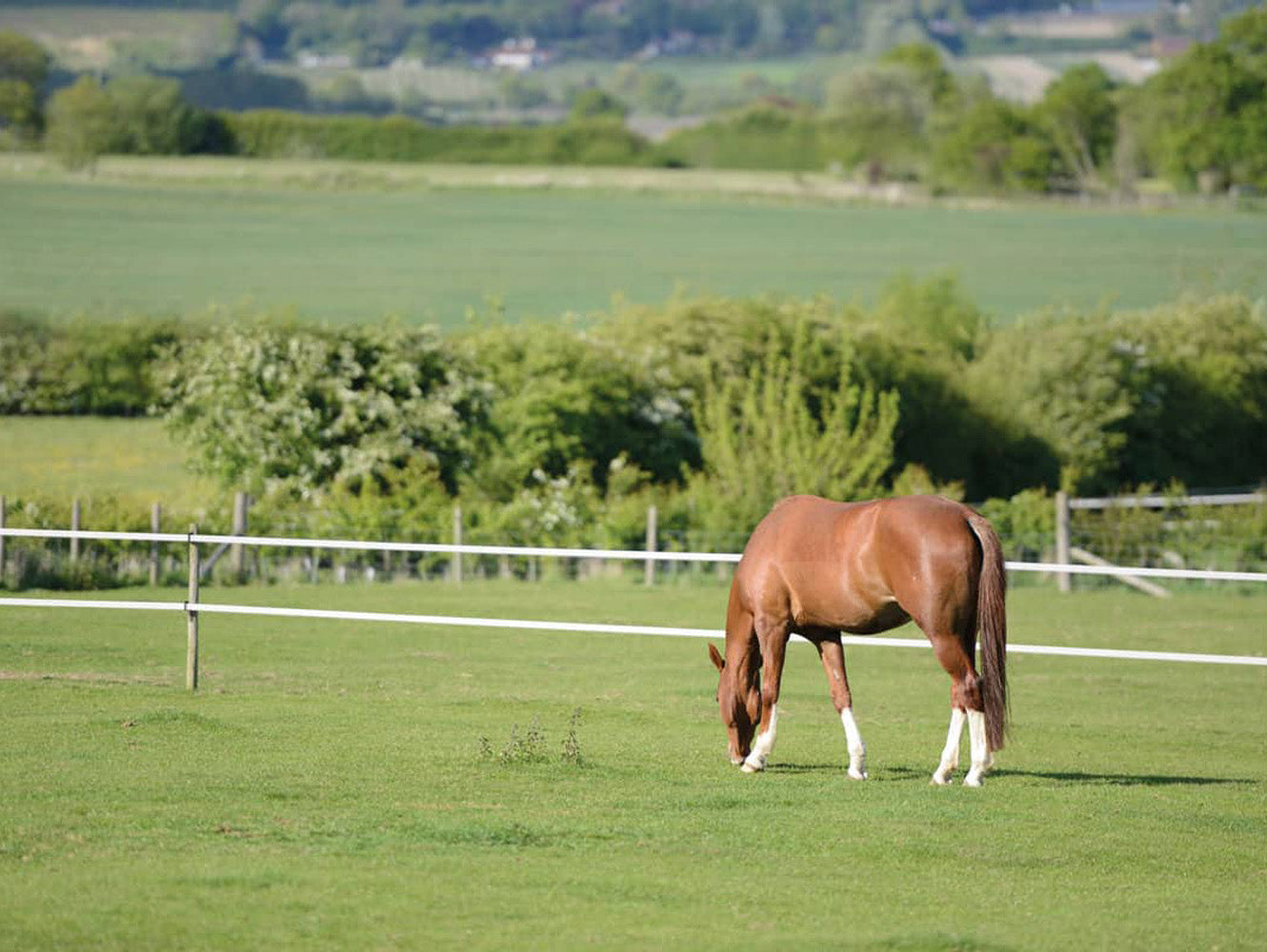 Pasture Management for the Good Doer: Finding the Balance