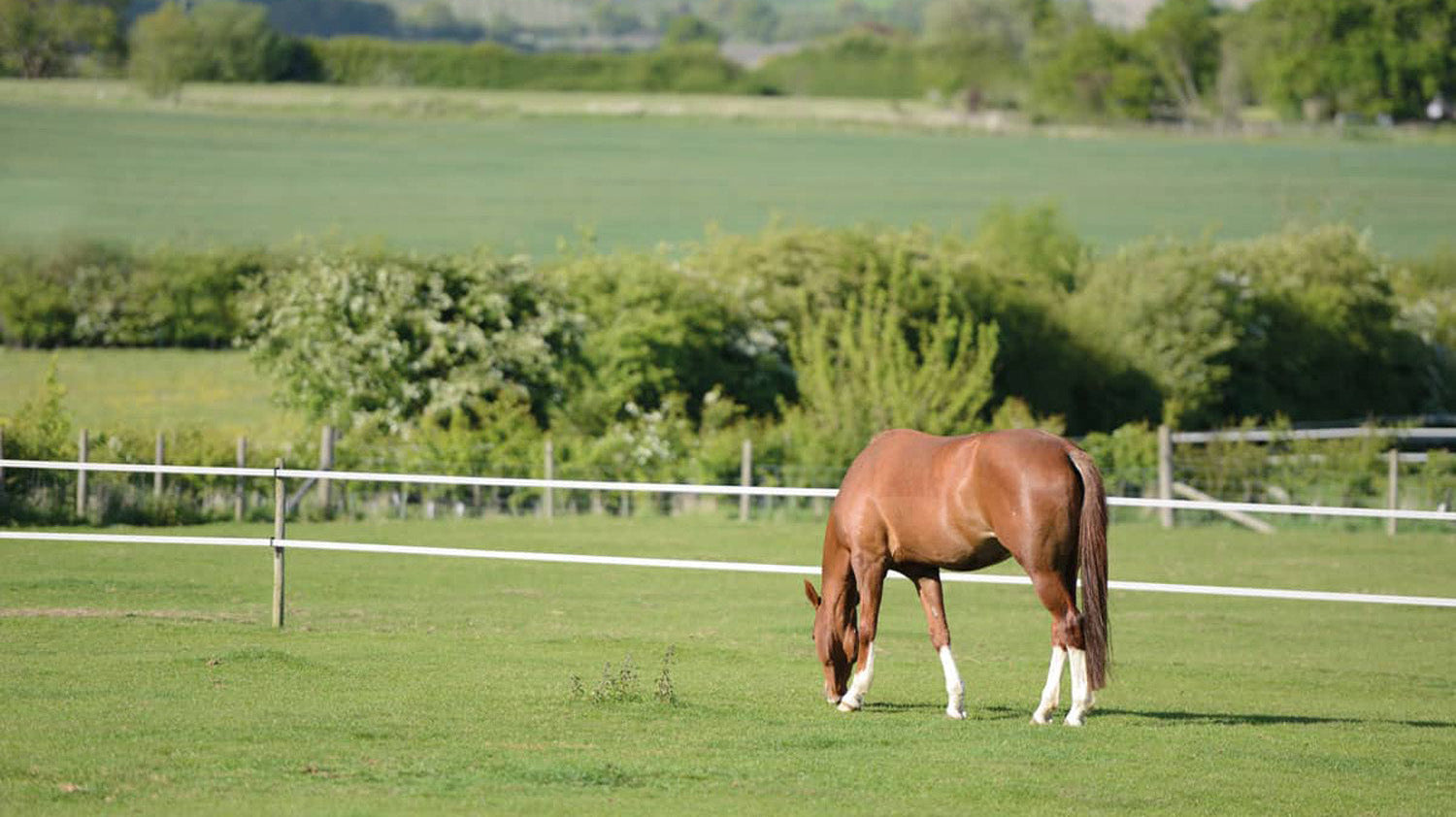 Pasture Management for the Good Doer: Finding the Balance