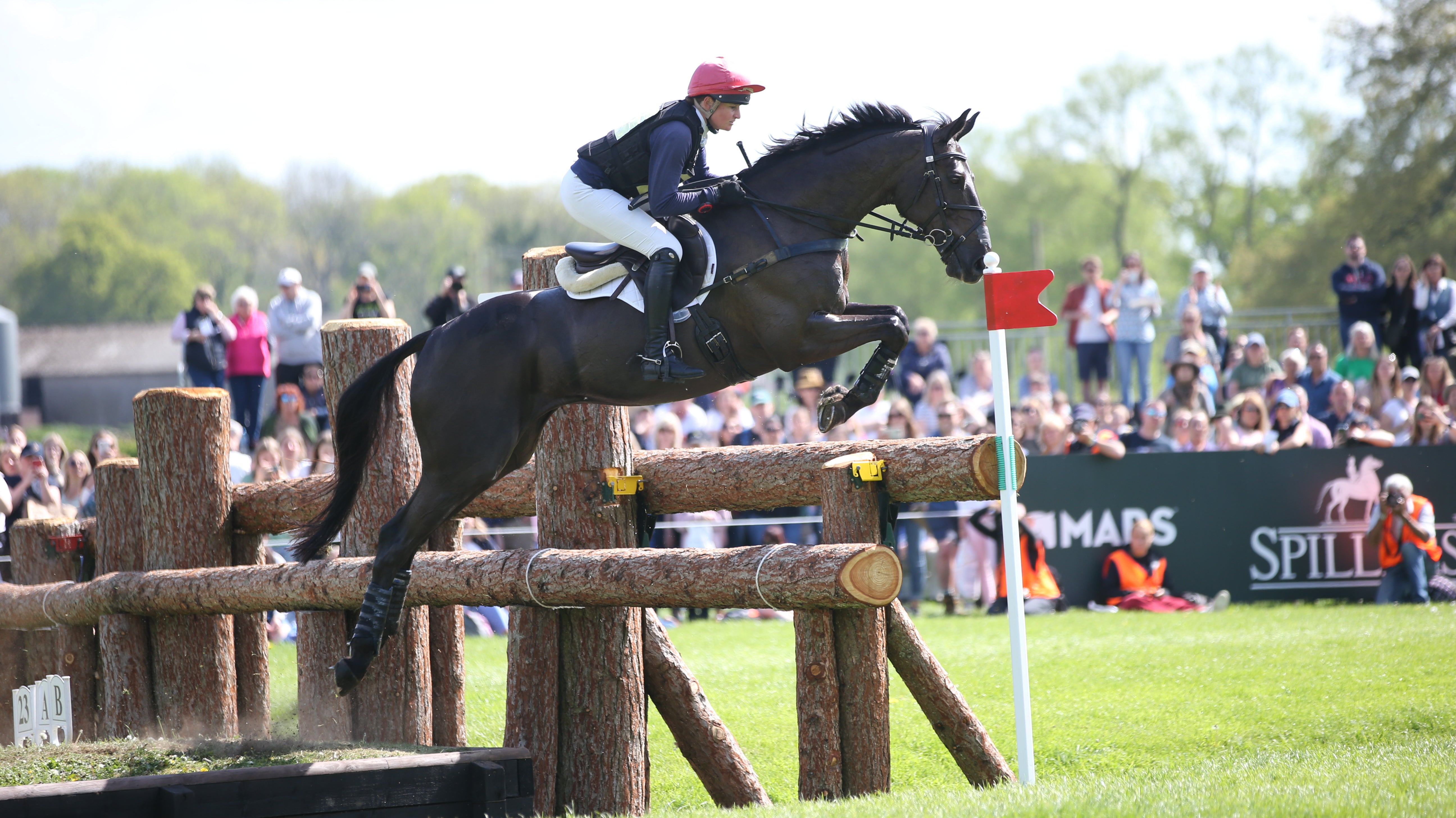 Feeding The Older Performance Horse