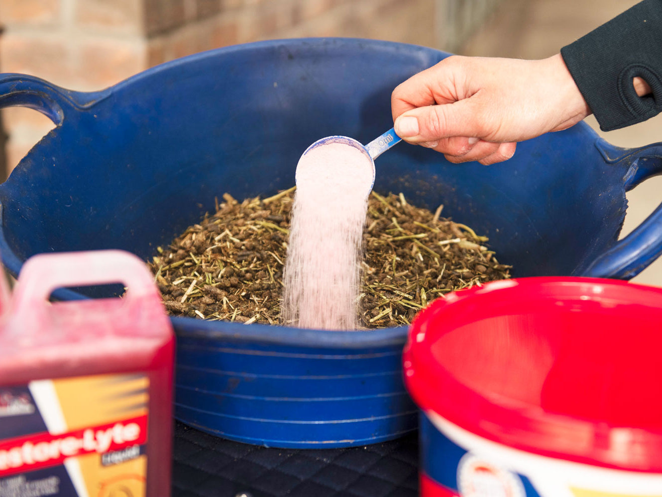 Salt and Electrolytes – Are You Feeding Enough?