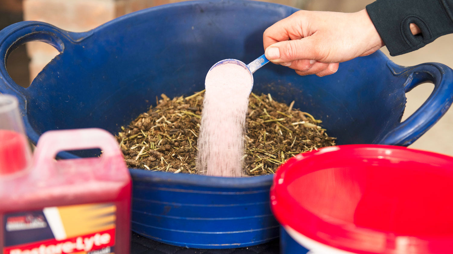 Salt and Electrolytes – Are You Feeding Enough?