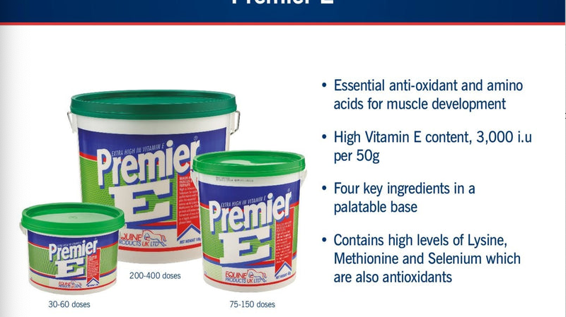 Key Feeding Challenges for the Sports and Leisure Horse