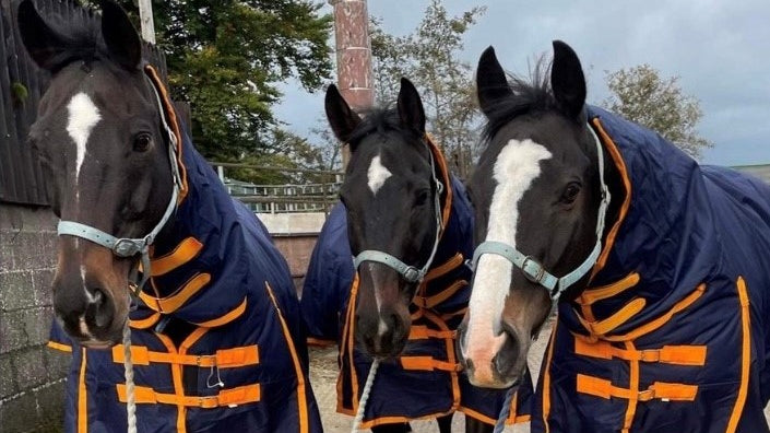Benefits of rugging your horse