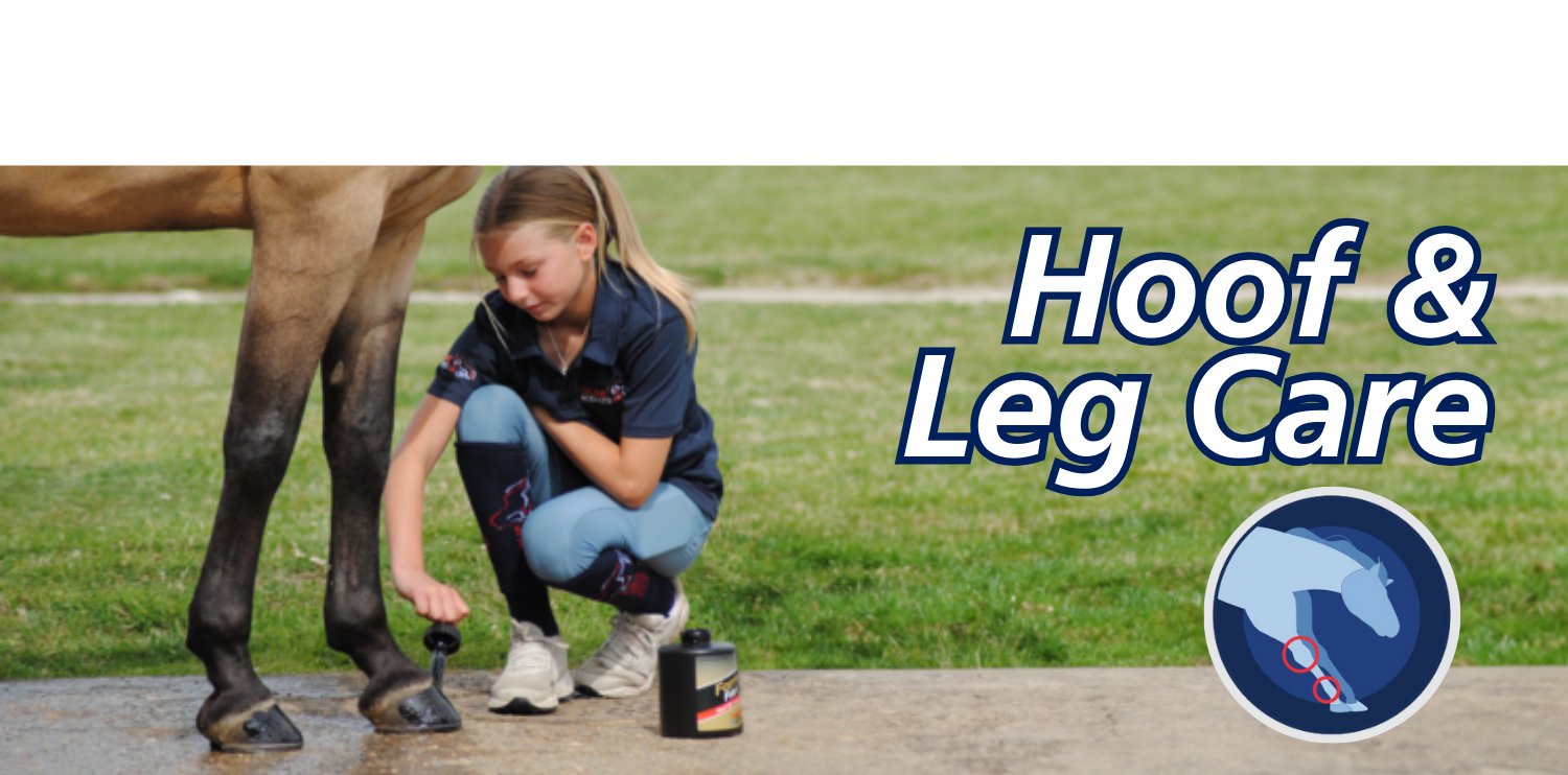 hoof leg and care