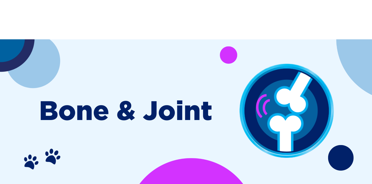 Pet Bone And Joint