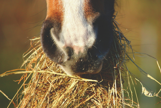 Assessing and Satisfying the Insatiable Appetite
