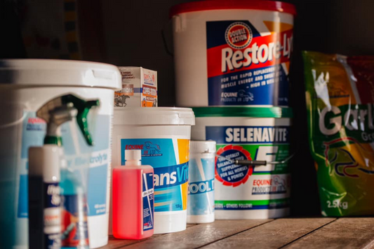 Getting The Best For Your Horse: How To Compare Supplements