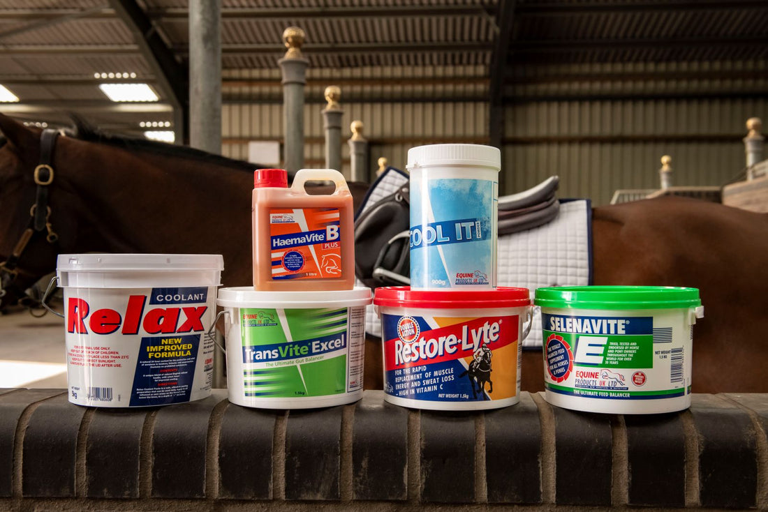 How to support your horse when training steps up and the season approaches.