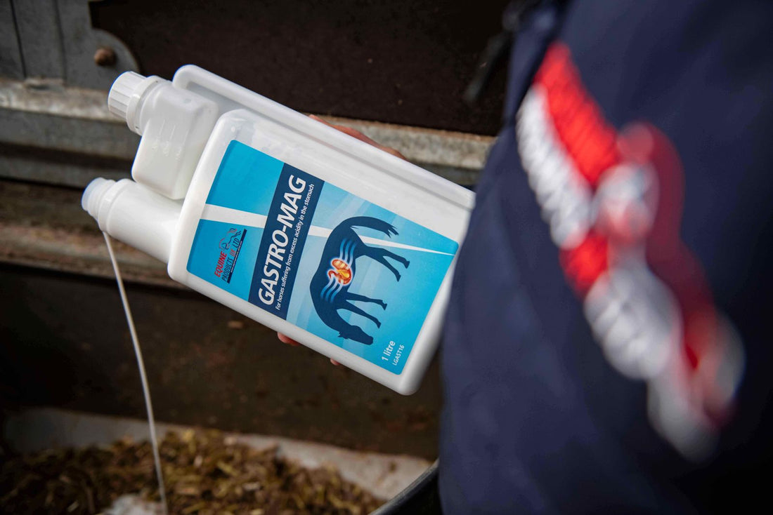 February offers to support your horse as the season takes shape