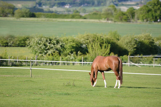 Pasture Management for the Good Doer: Finding the Balance