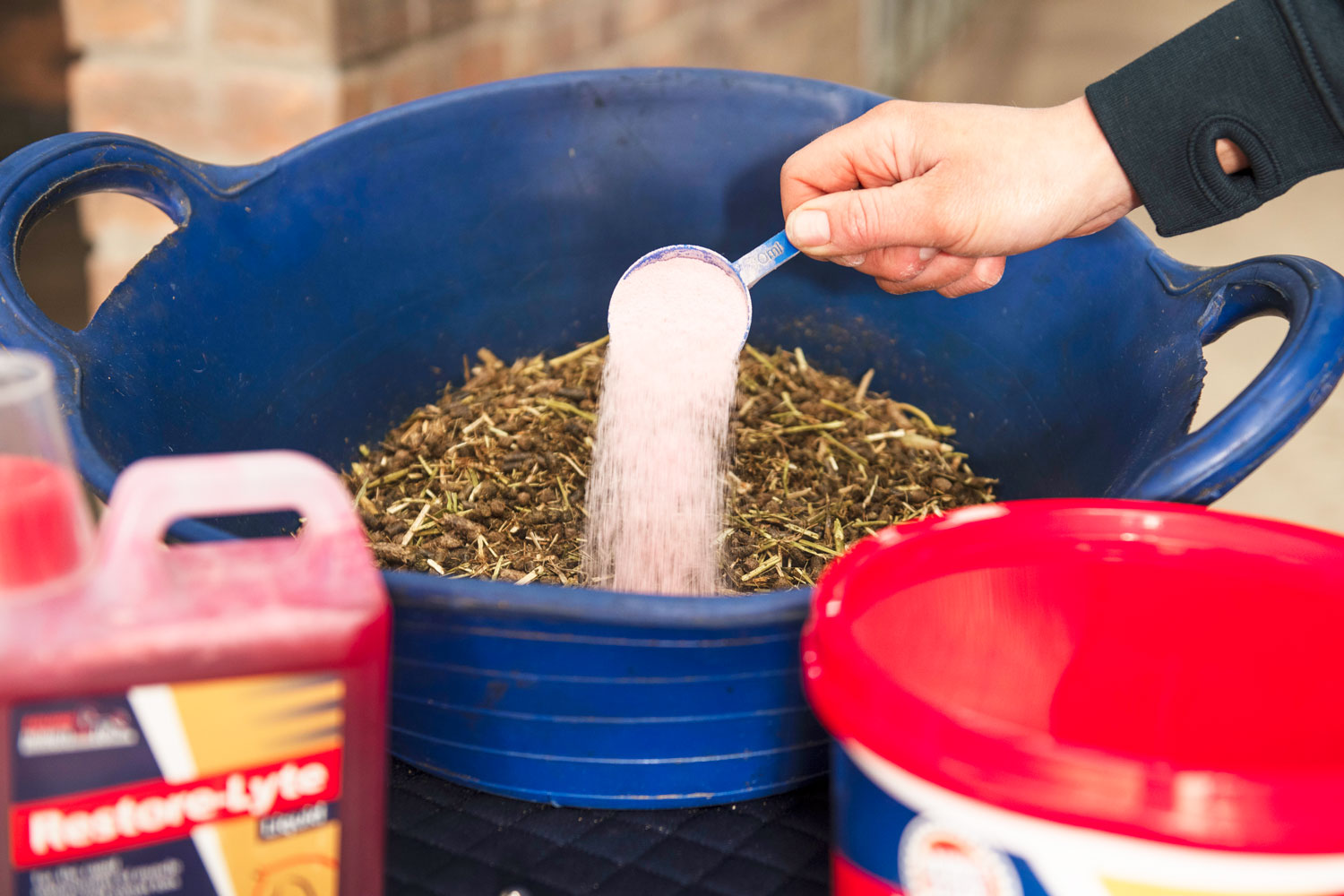 Salt and Electrolytes – Are You Feeding Enough?