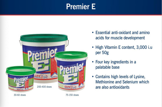 Key Feeding Challenges for the Sports and Leisure Horse