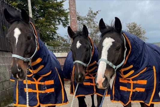 Benefits of rugging your horse