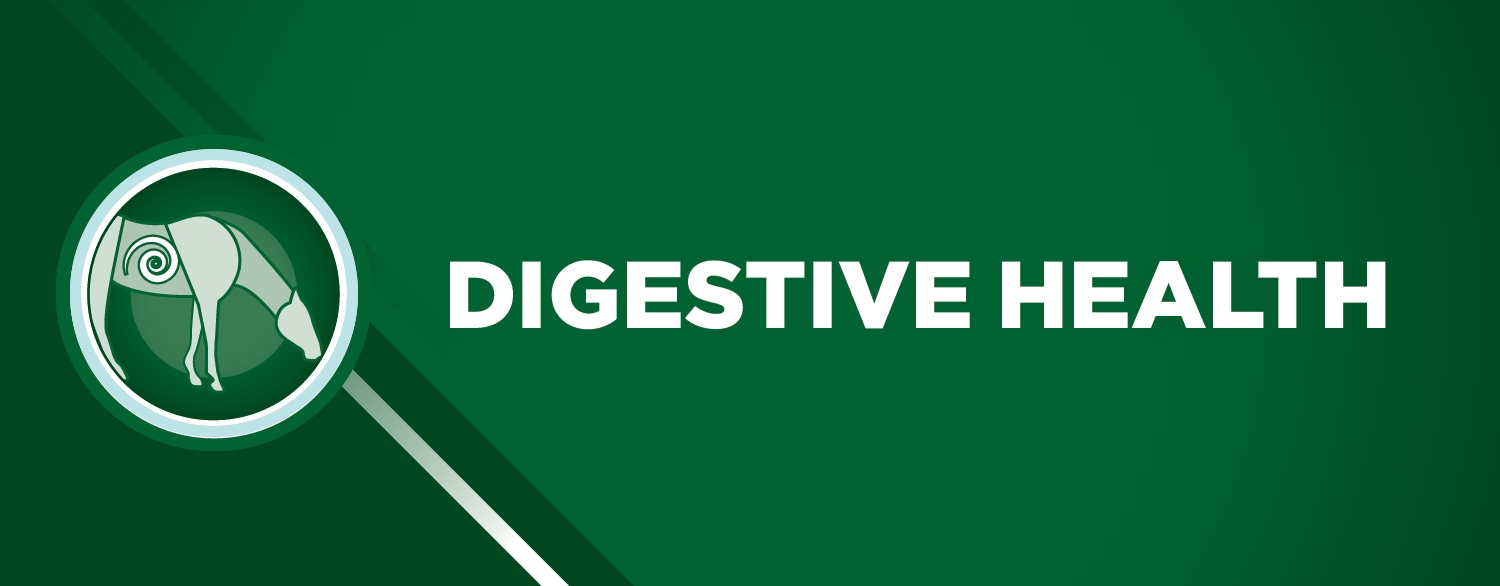 TRM Digestive Health