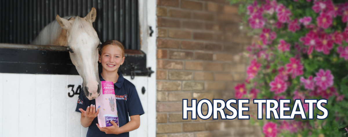horse treats