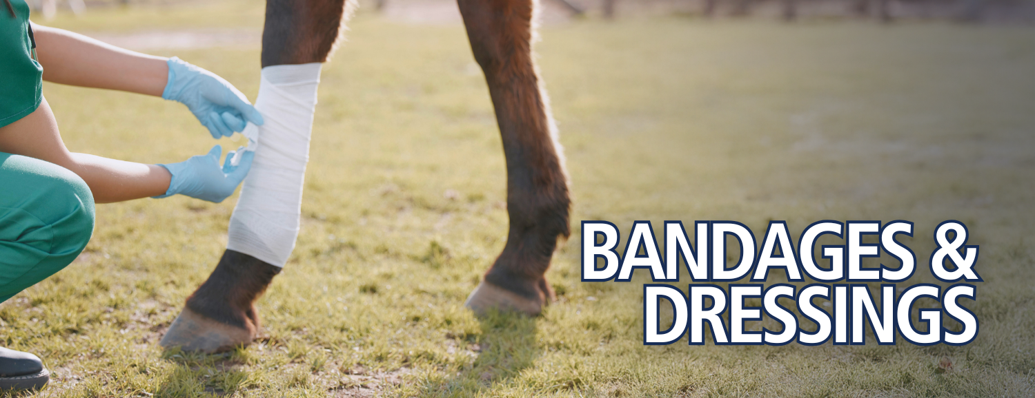 Bandages & Dressings