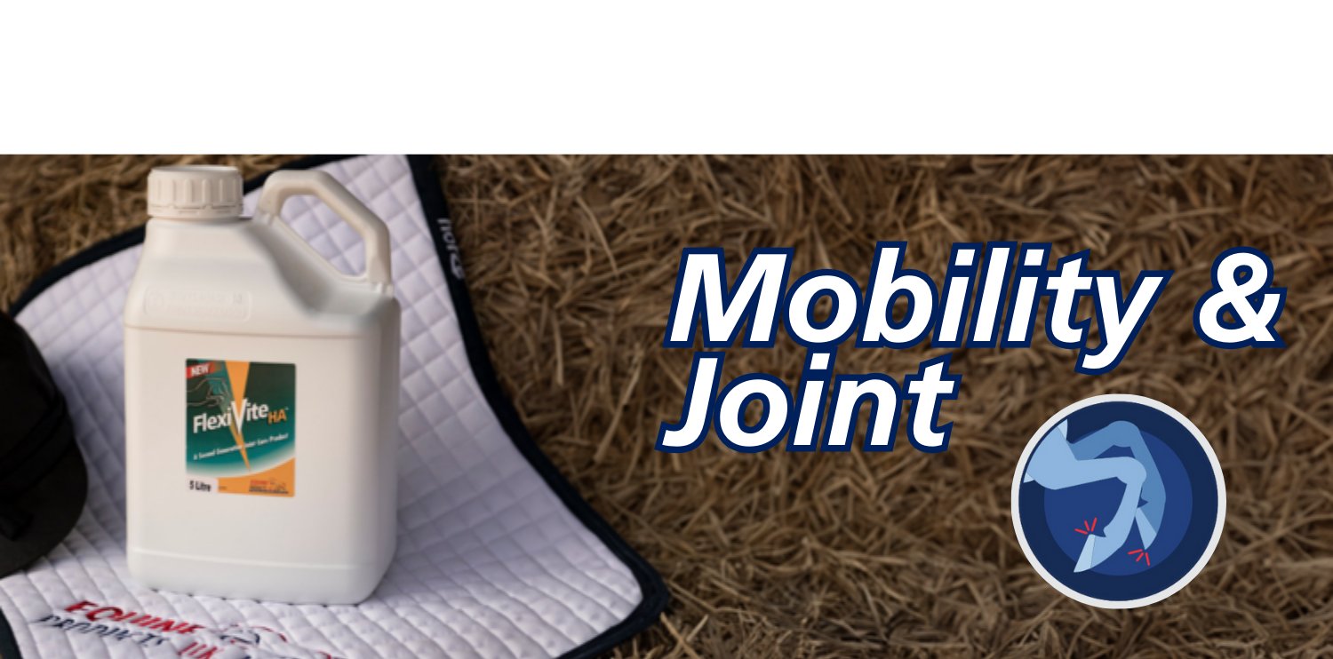 Mobility & Joint Supplements