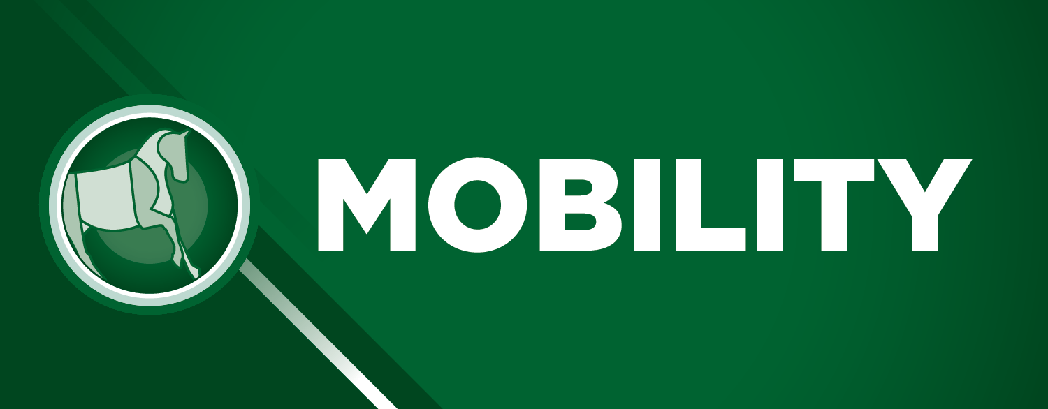 TRM Mobility