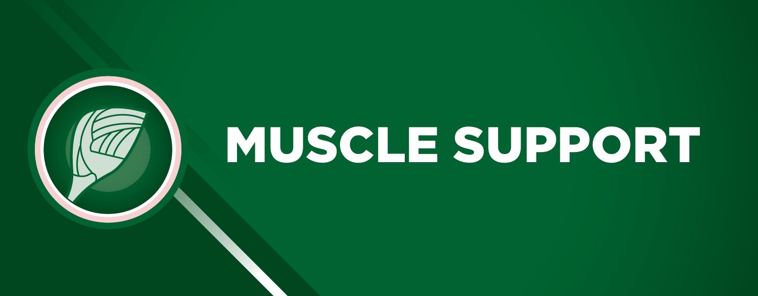 TRM Muscle Support