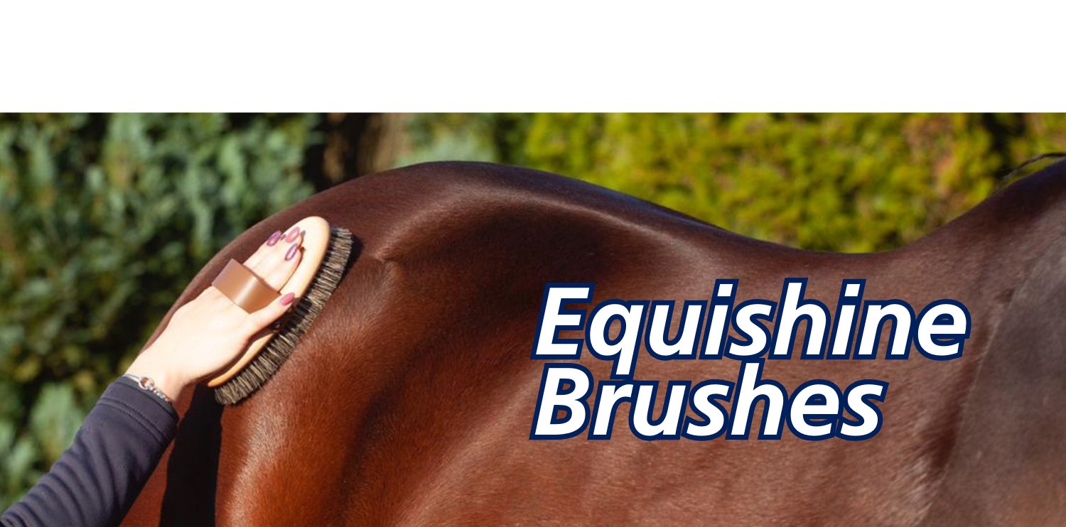 Equishine Brushes