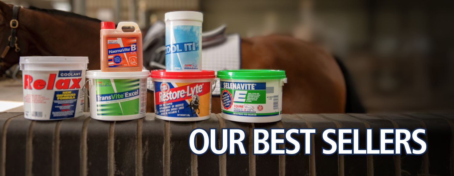 Our Best Sellers