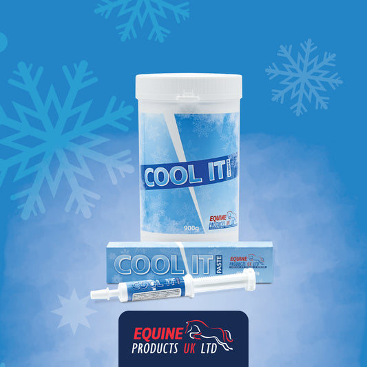 Calmer For Horses - Equine Products UK Cool It Powder
