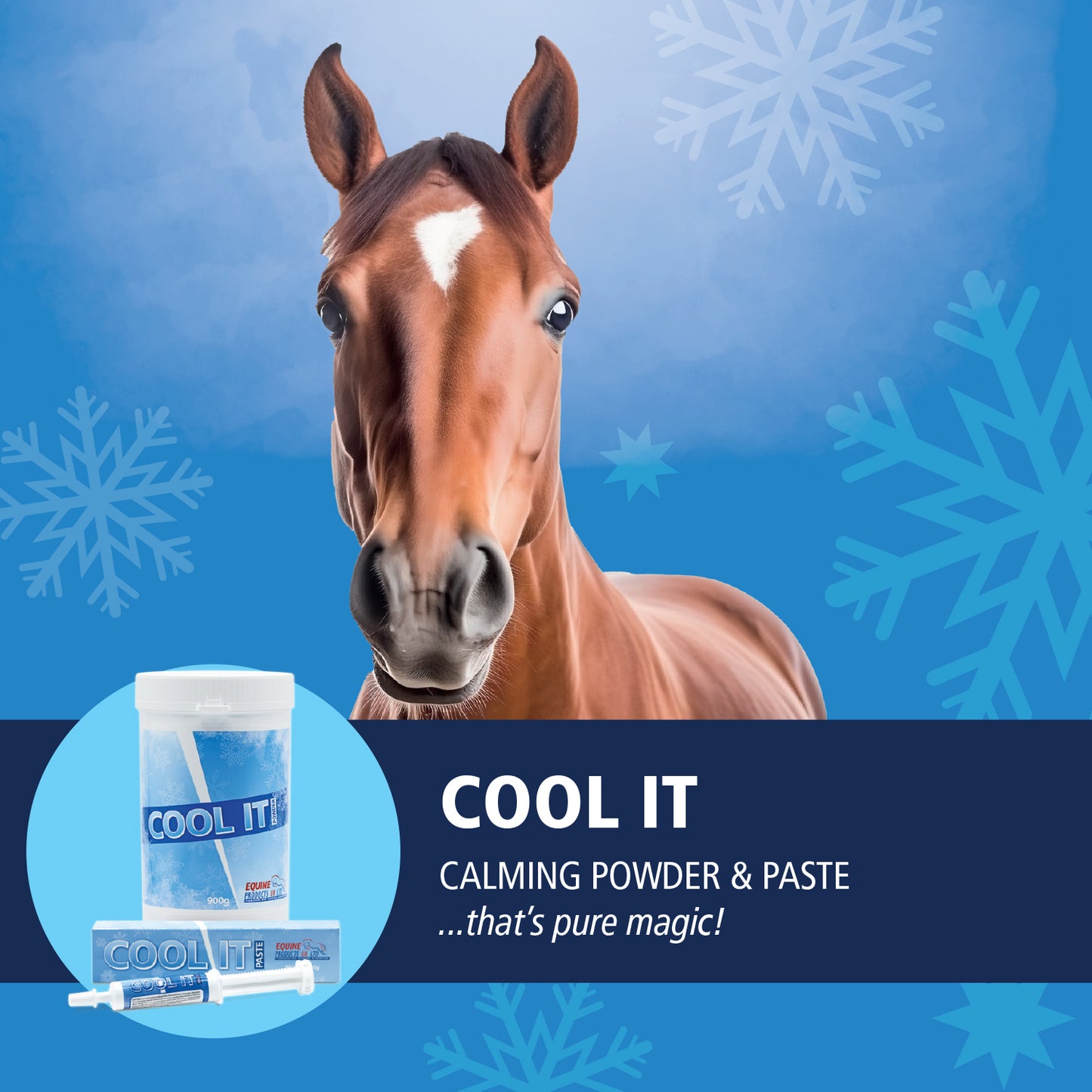 Calmer For Horses - Equine Products UK Cool It Powder