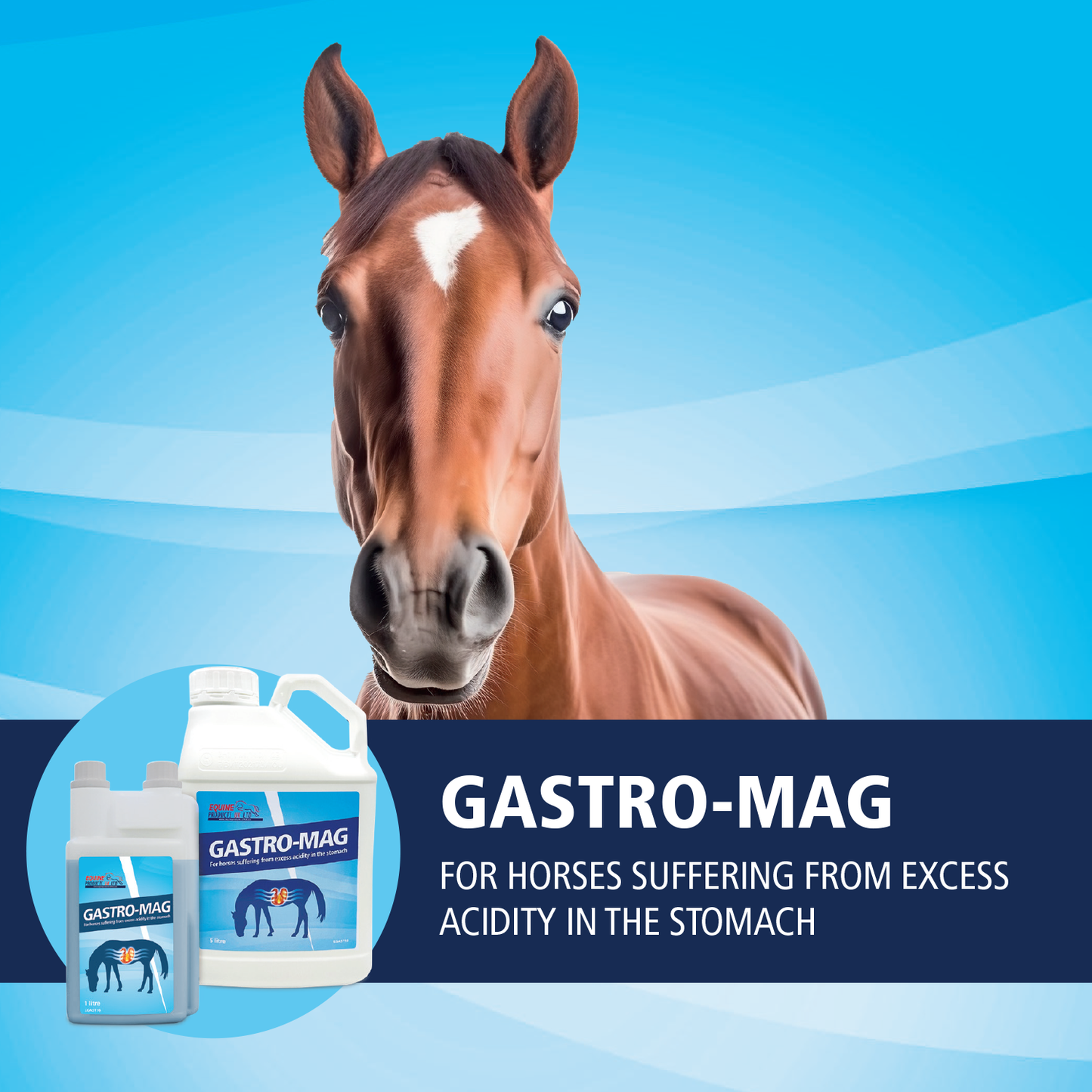 Equine Products UK Gastro Mag