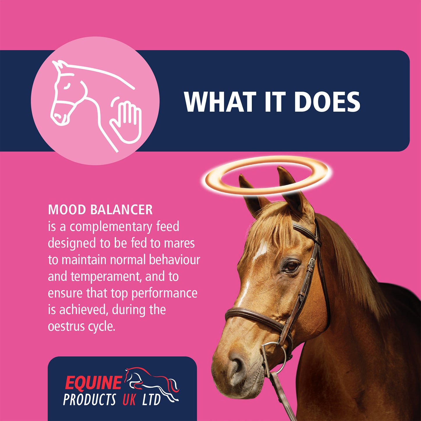 Equine Products UK Mood Balancer 1Ltr