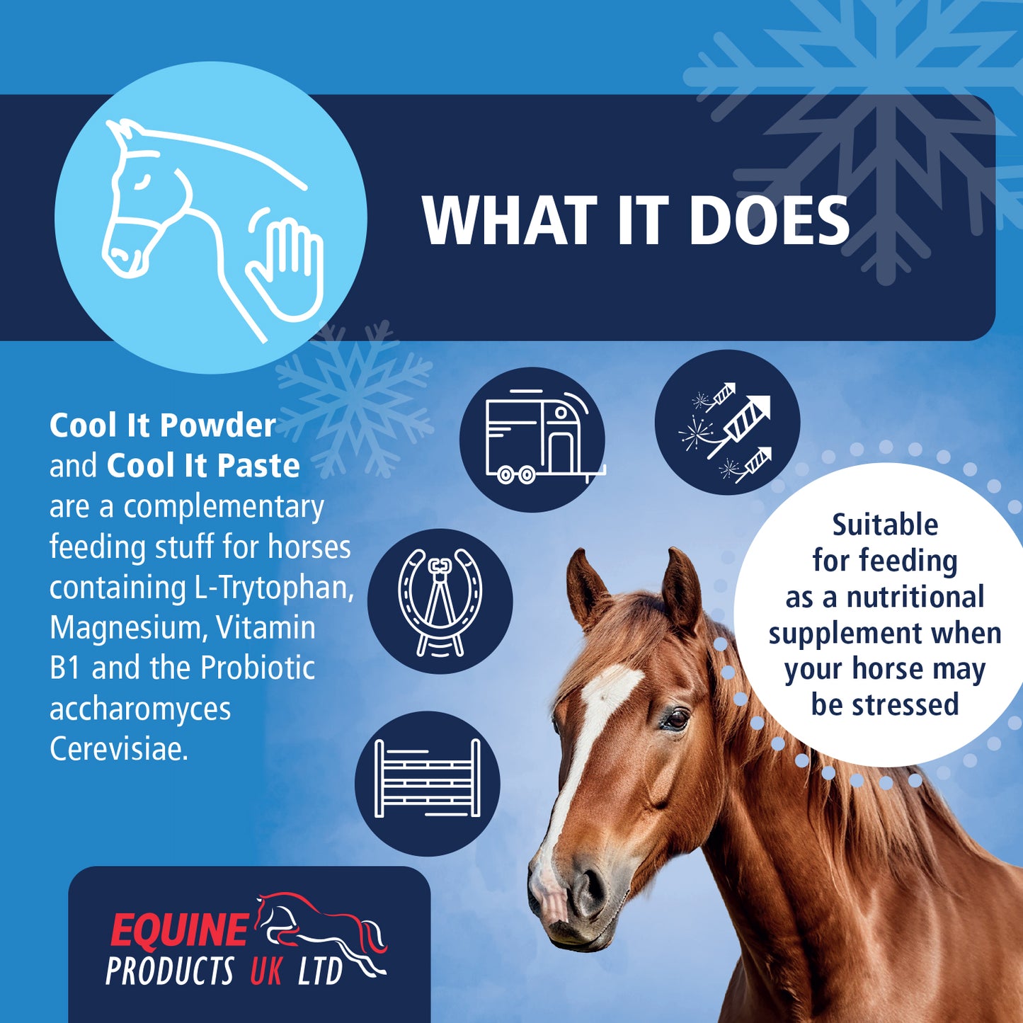 Calmer For Horses - Equine Products UK Cool It Powder