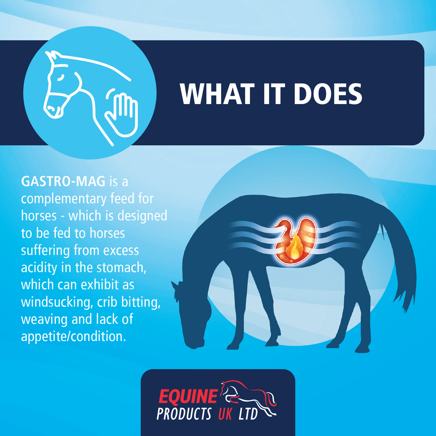 Equine Products UK Gastro Mag