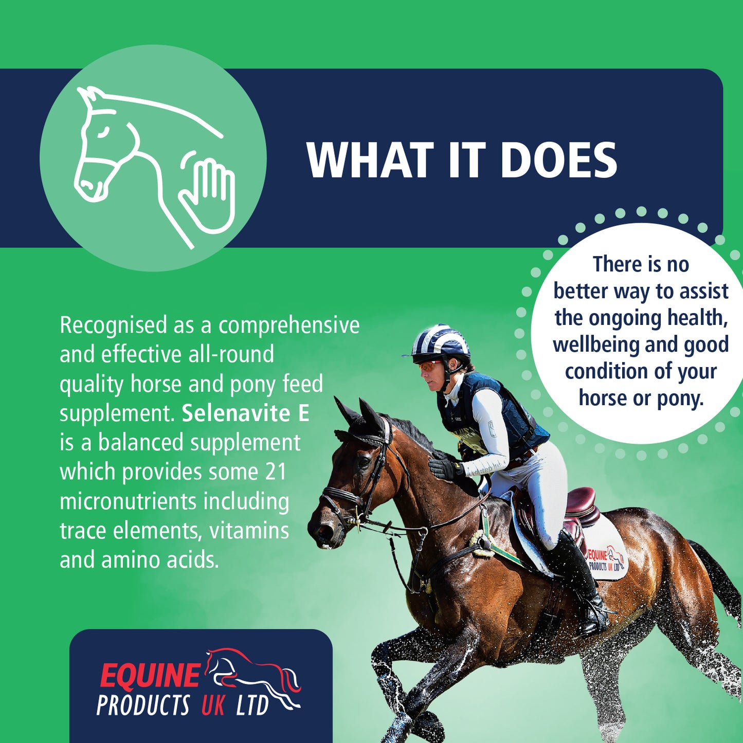 Equine Products UK Selenavite E Powder - The Ultimate Feed Balancer