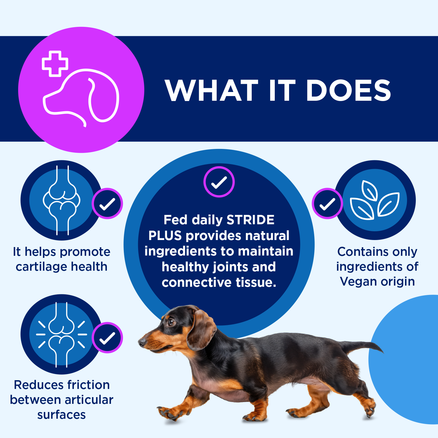 TRM Pet Stride Plus - Main Image