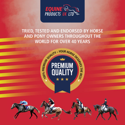 Equine Products UK No More Bute - Highly Bioavailable Turmeric