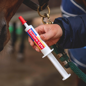 Equine Products UK Restore-Lyte Syringes 3 X 35g