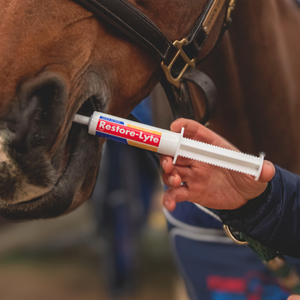 Equine Products UK Restore-Lyte Syringes 3 X 35g