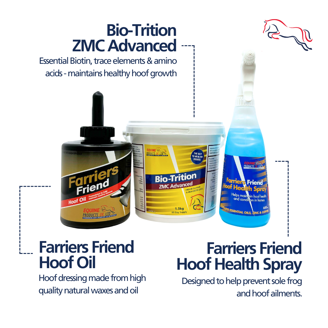 The Hoof Health Bundle