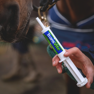 Equine Products UK Transvite Paste