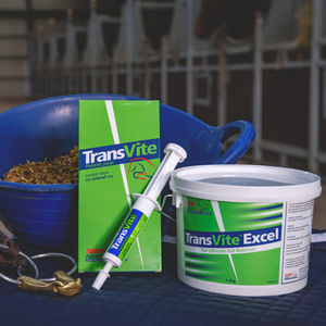 Equine Products UK Transvite Paste 3 x 30g