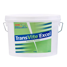 Equine Products UK Transvite Excel - The Ultimate Gut Balancer