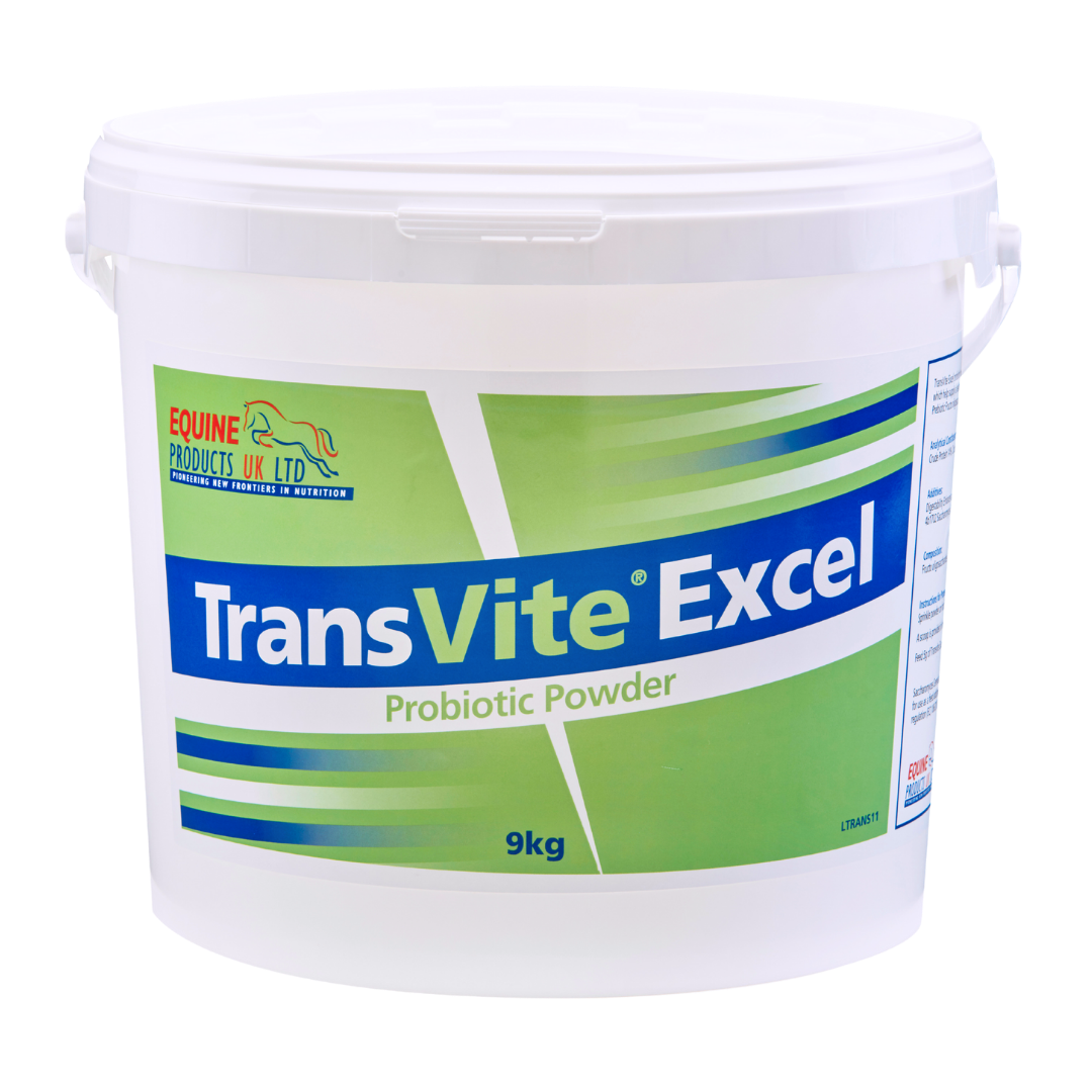 Equine Products UK Transvite Excel - The Ultimate Gut Balancer