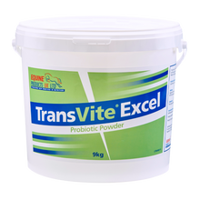 Equine Products UK Transvite Excel - The Ultimate Gut Balancer
