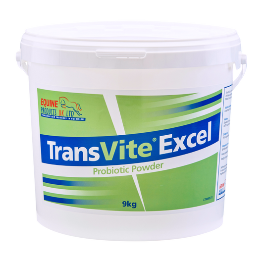 Equine Products UK Transvite Excel - The Ultimate Gut Balancer