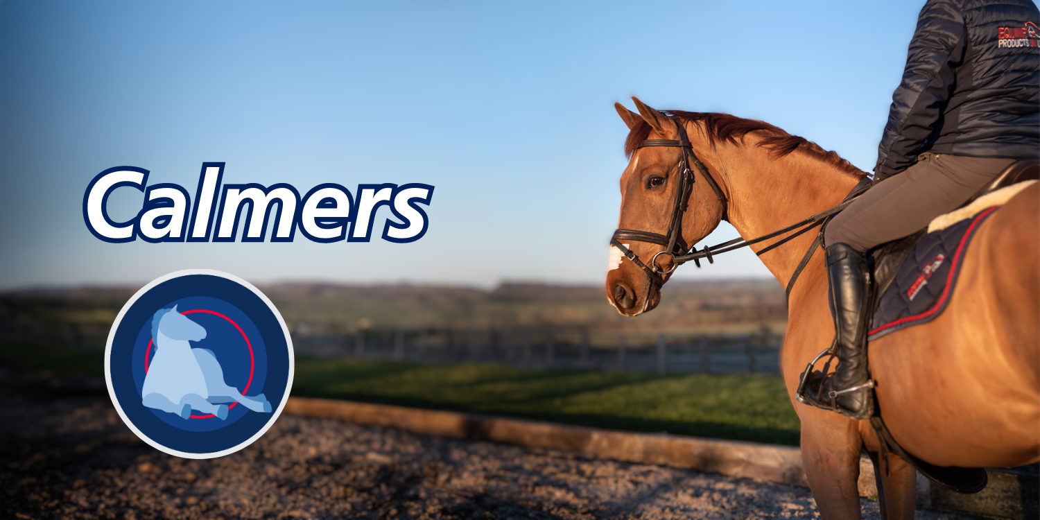 Equestrian products deals