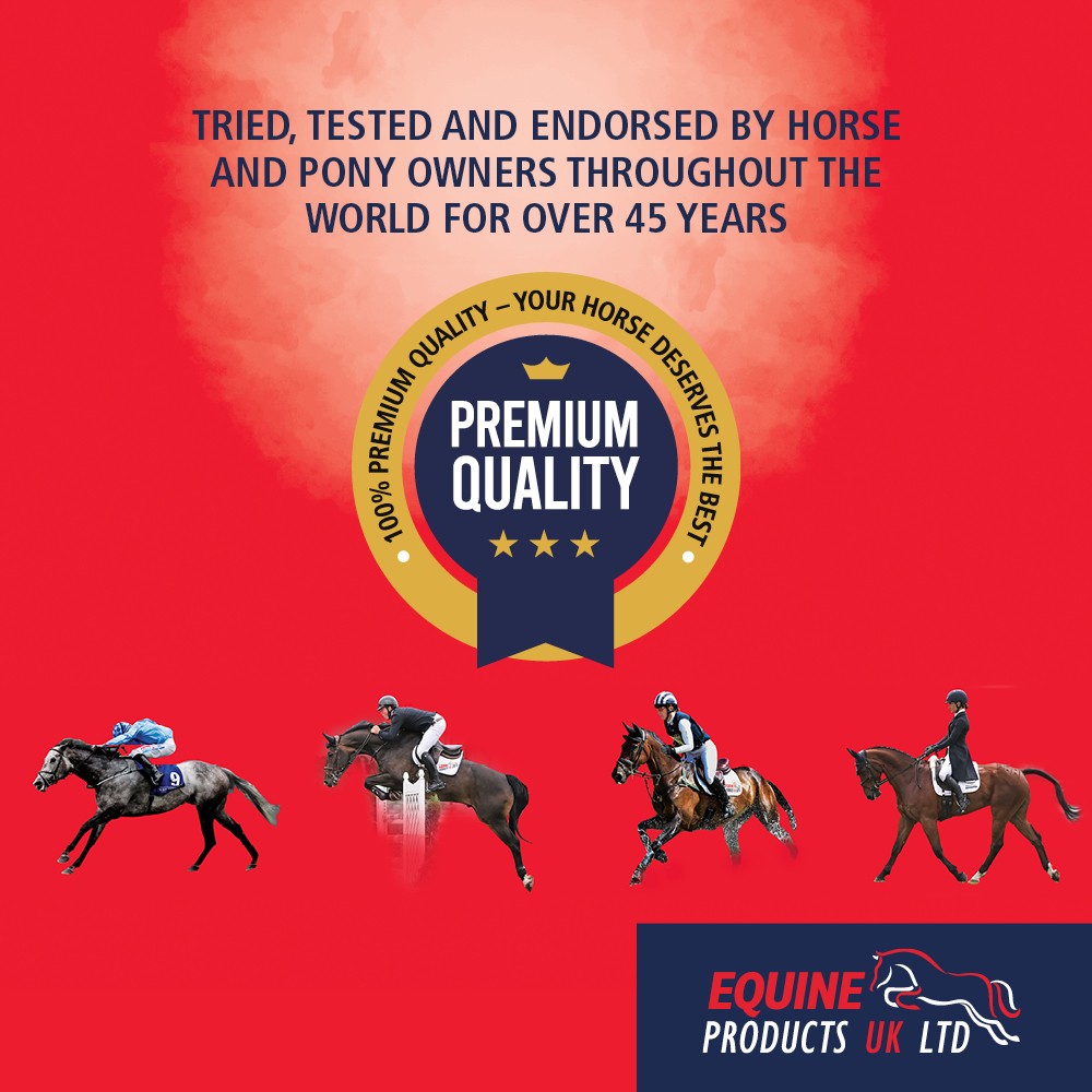 Equine Products UK No More Bute - Highly Bioavailable Turmeric