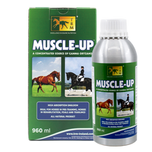 TRM Muscle-Up