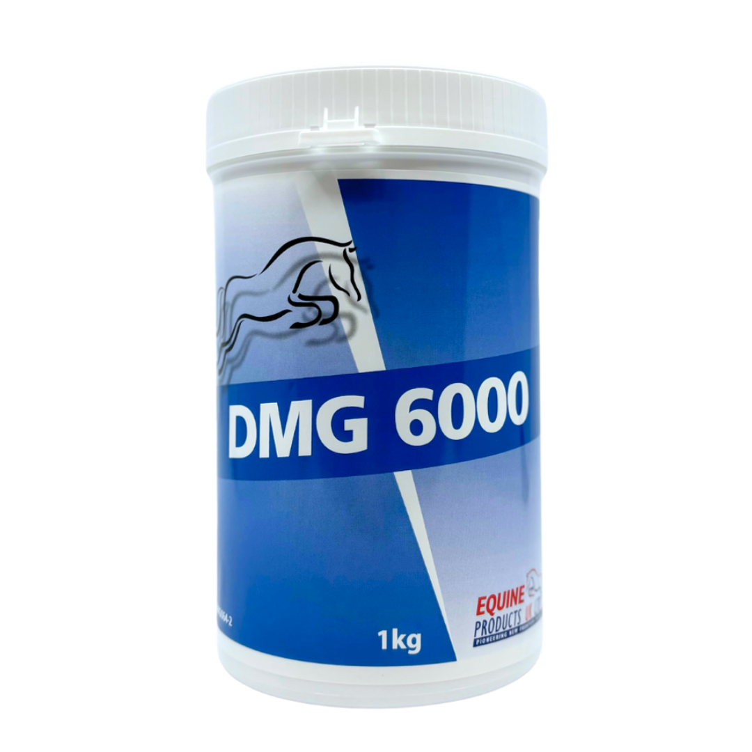 Equine Products UK DMG 6000 1KG