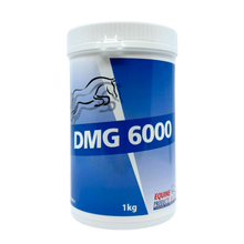 Equine Products UK DMG 6000 1KG